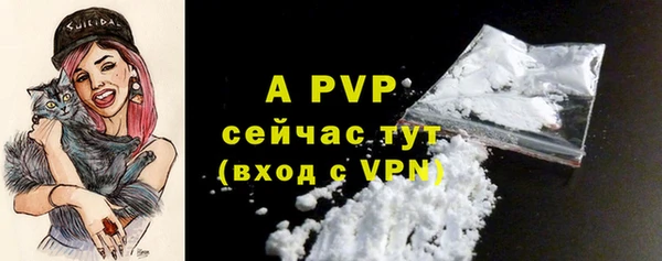 спиды Новодвинск