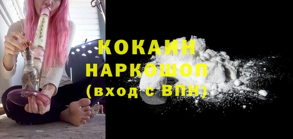 спиды Новодвинск