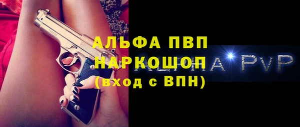 спиды Новодвинск
