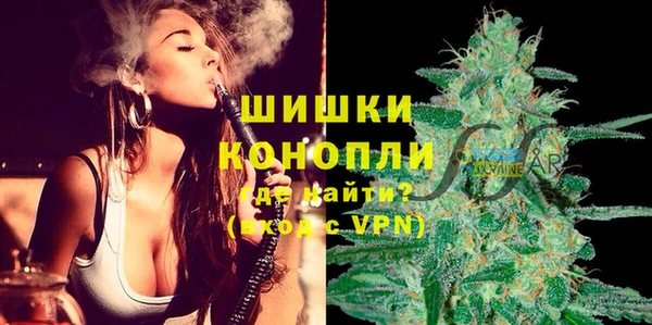 МДПВ Нефтегорск