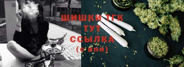 спиды Новодвинск
