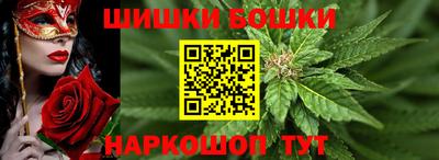 хмурый Бийск