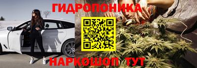 хмурый Бийск