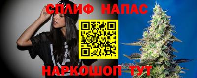 тгк Канаш