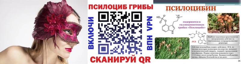 Галлюциногенные грибы прущие грибы  закладка  Биробиджан 