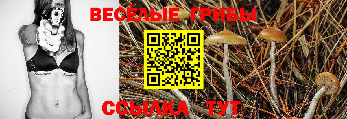 Биробиджан  Псилоцибиновые грибы ЛСД  Вход с VPN  Галлюциногенные грибы MAGIC MUSHROOMS 