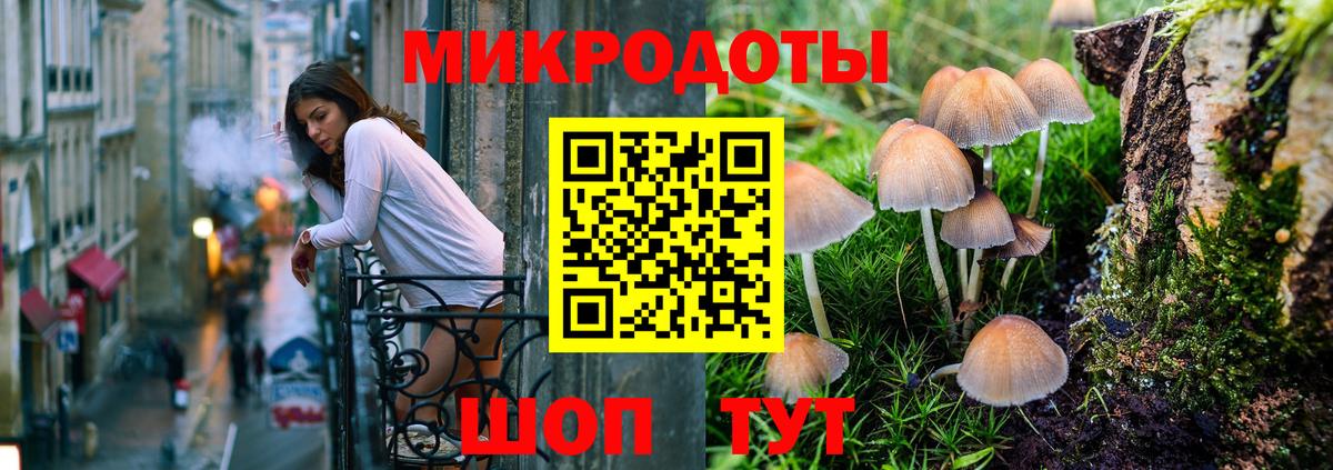 Псилоцибиновые грибы GOLDEN TEACHER Биробиджан