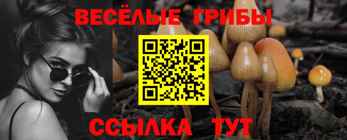 Псилоцибиновые грибы Psilocybe  Псилоцибиновые грибы ЛСД  Биробиджан 